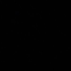 Meet your Posher, Baila